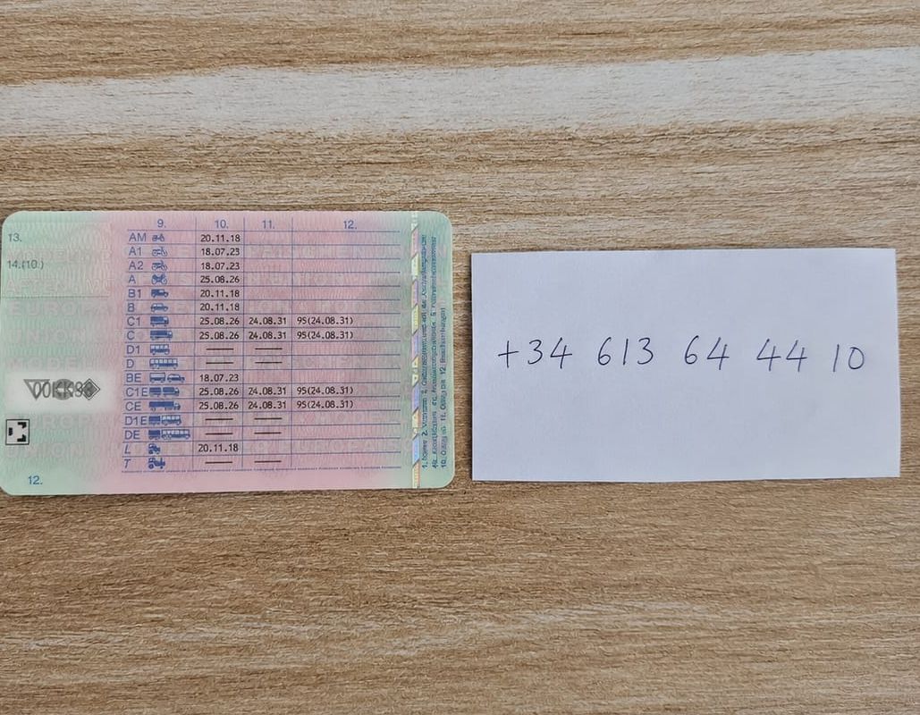 Germany driving licence back