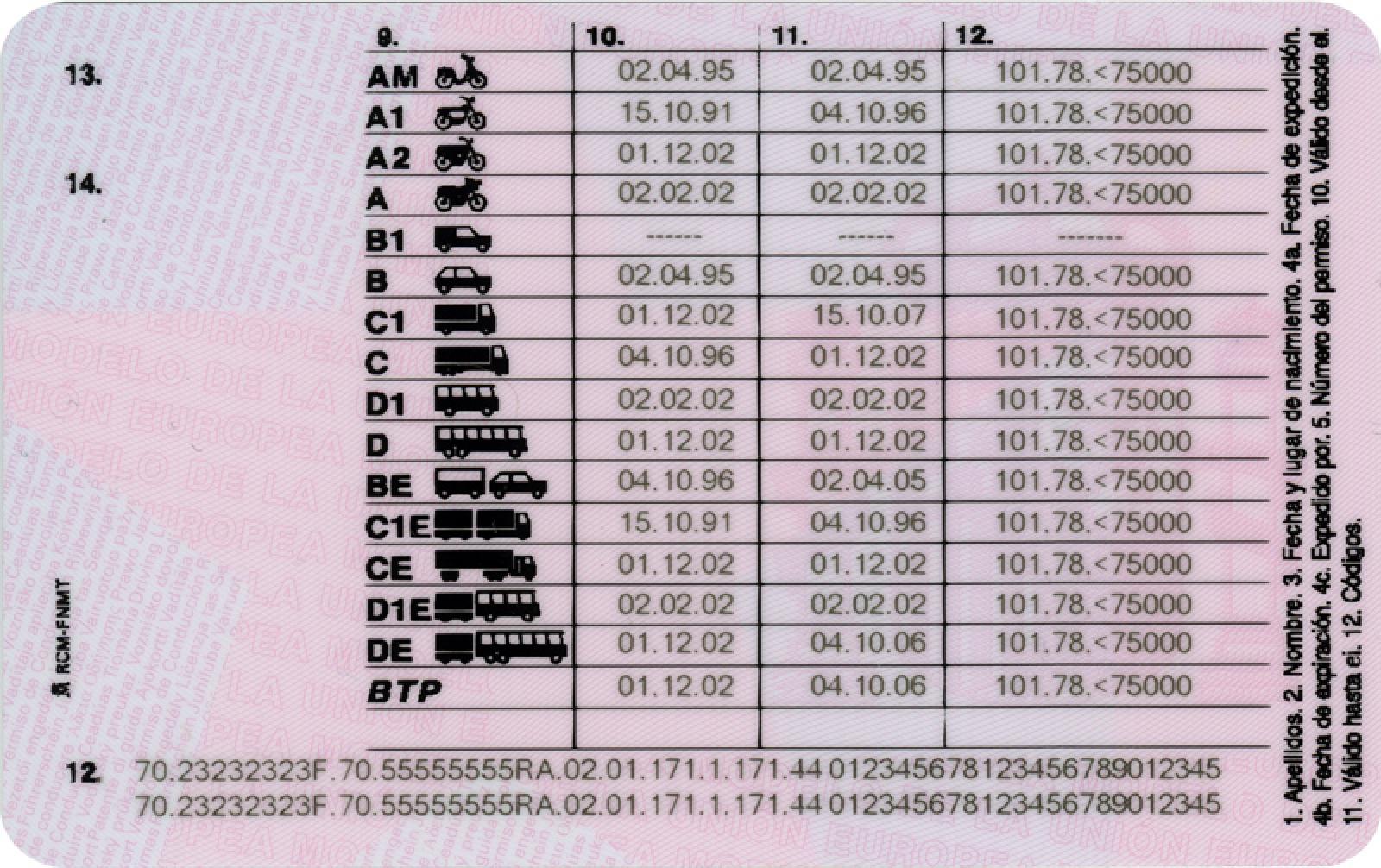 Spain driving licence back